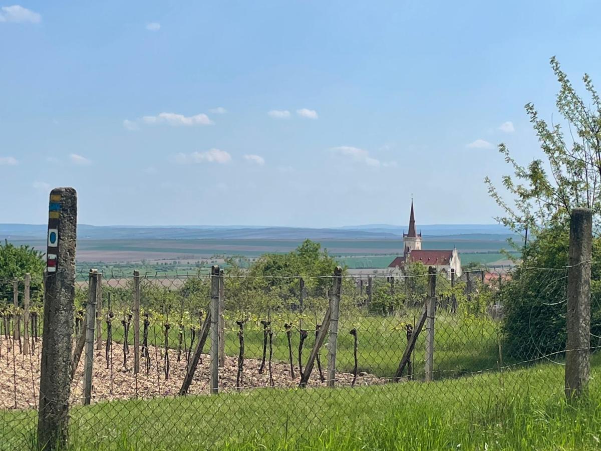 Apartmán U Březinů Znojmo Exteriér fotografie