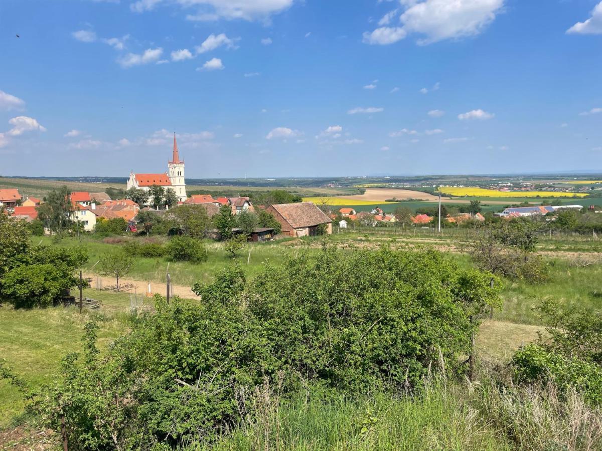 Apartmán U Březinů Znojmo Exteriér fotografie